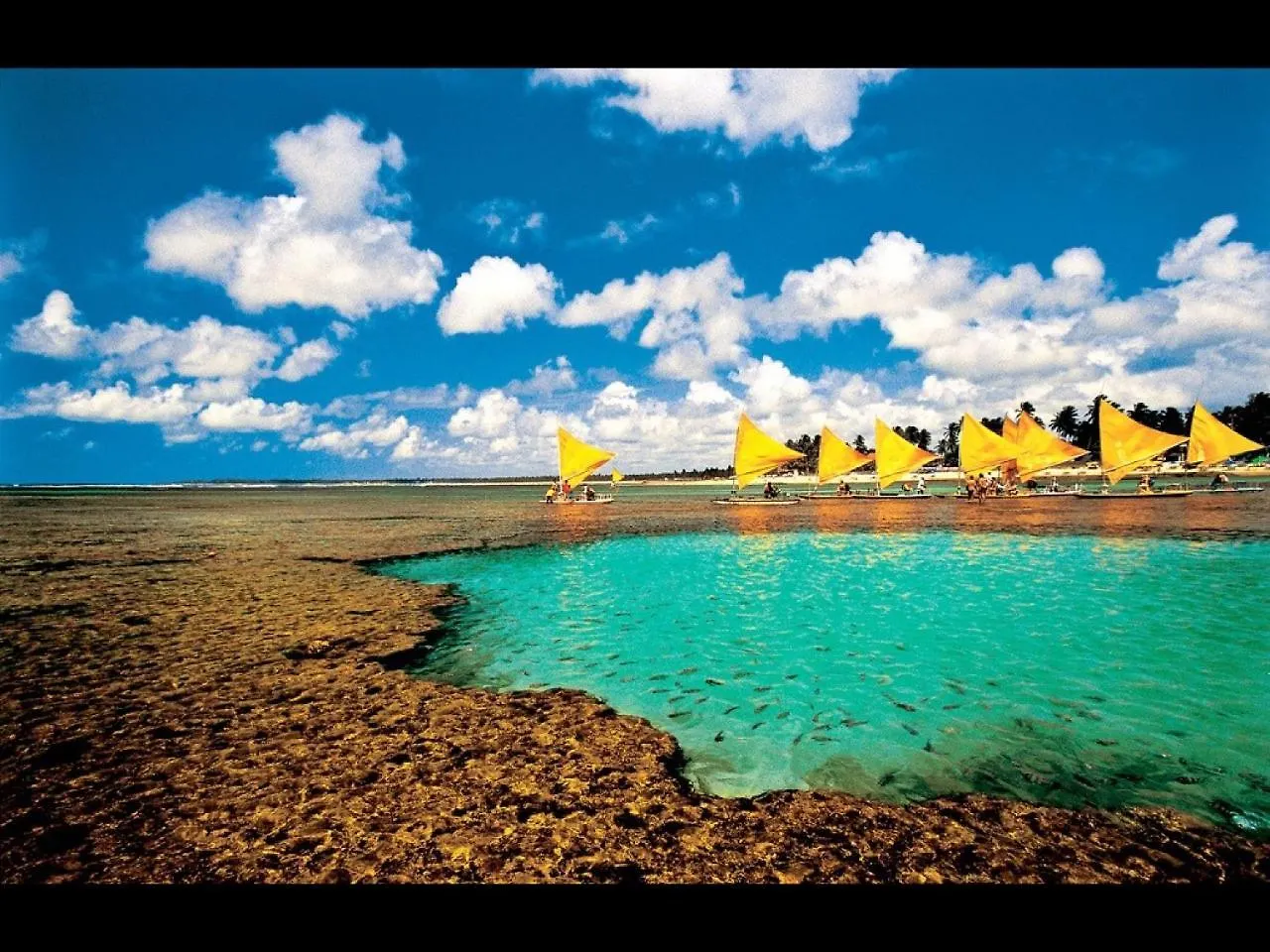 Laguna Beach Flat Porto de Galinhas